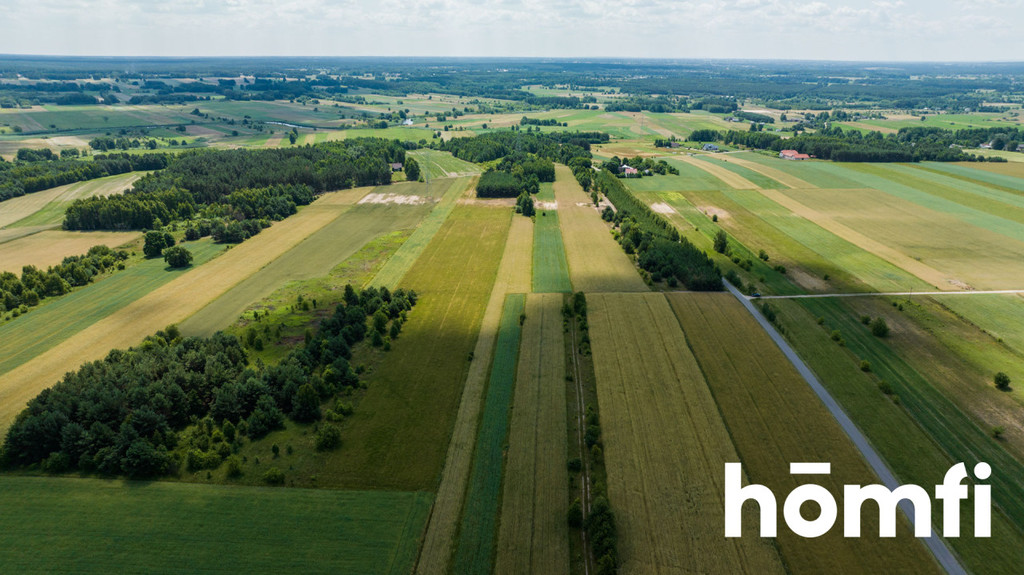 Działka budowlana 2,16 ha, Wola Goryńska - zdjęcie 5