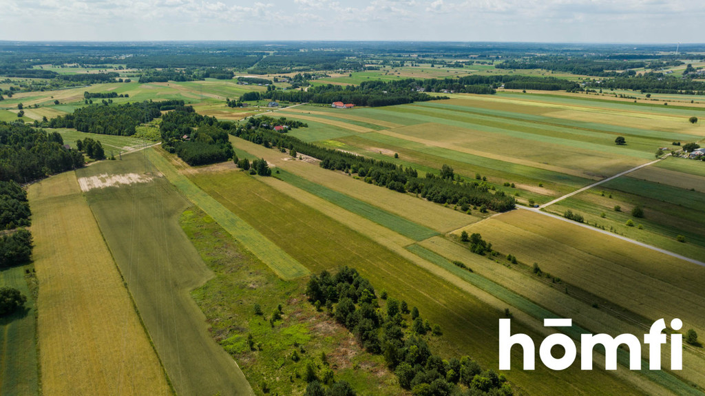 Działka budowlana 2,16 ha, Wola Goryńska - zdjęcie 4