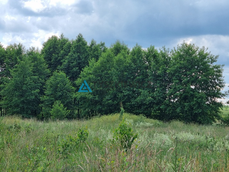 Działka blisko jeziora w okolicy Kościerzyna - zdjęcie 6