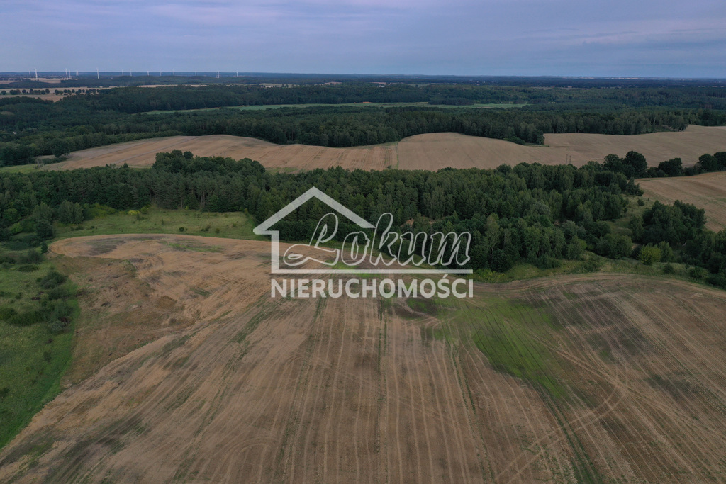 Działka rolna 4,02 ha, Prusinowo - zdjęcie 4