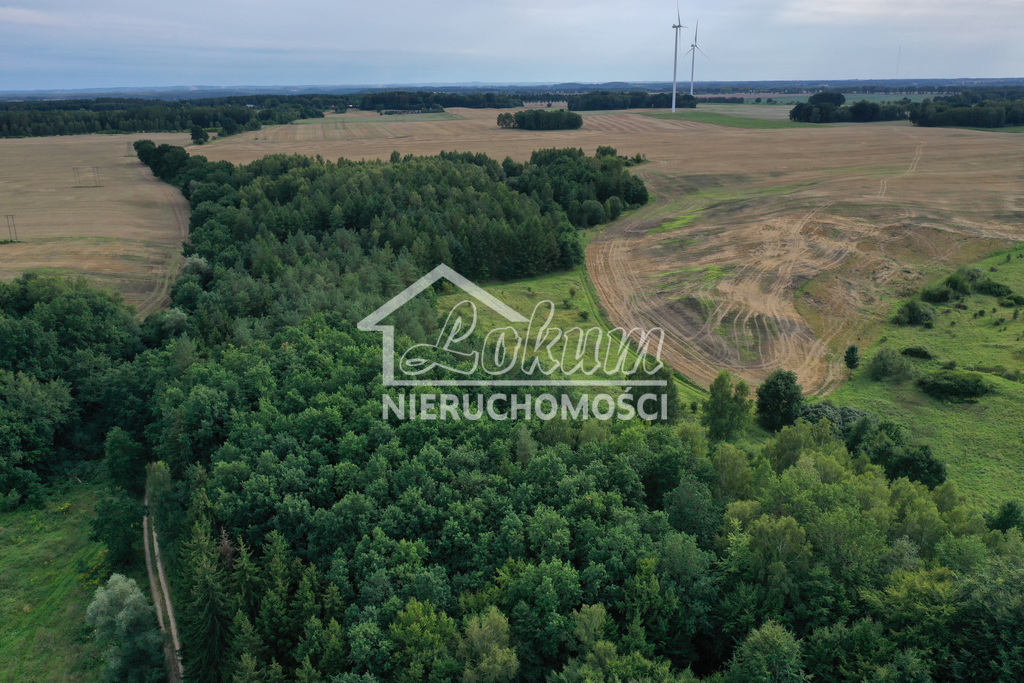 Działka rolna 4,02 ha, Prusinowo - zdjęcie 1