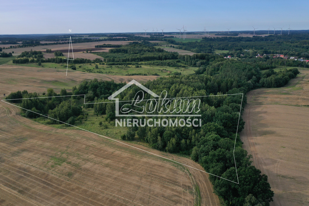 Działka rolna 4,02 ha, Prusinowo - zdjęcie 3
