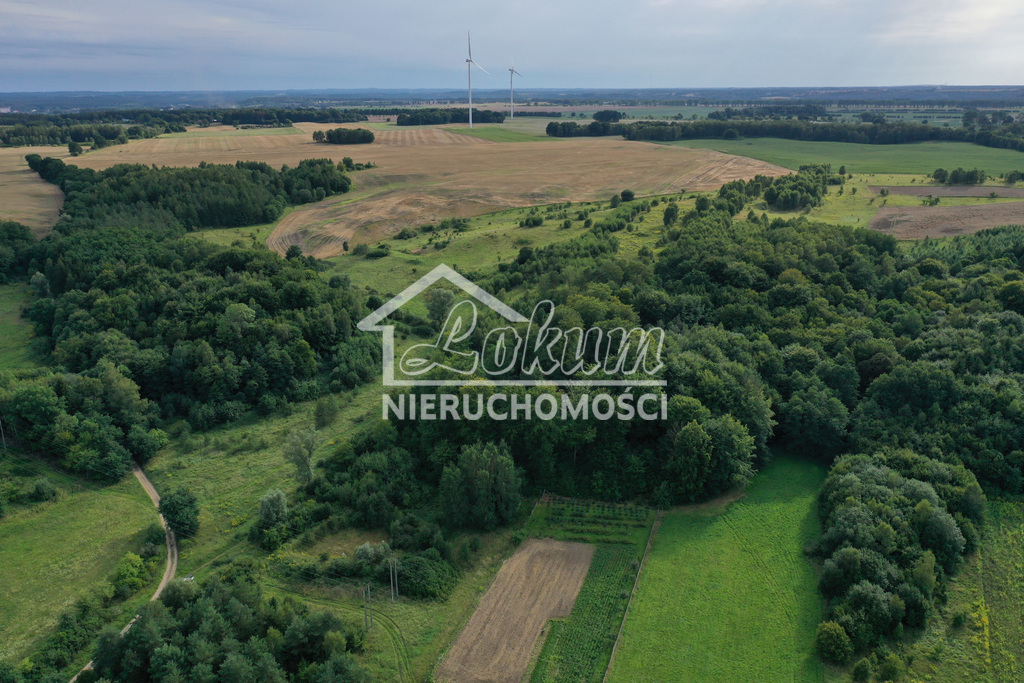 Działka rolna 4,02 ha, Prusinowo - zdjęcie 2