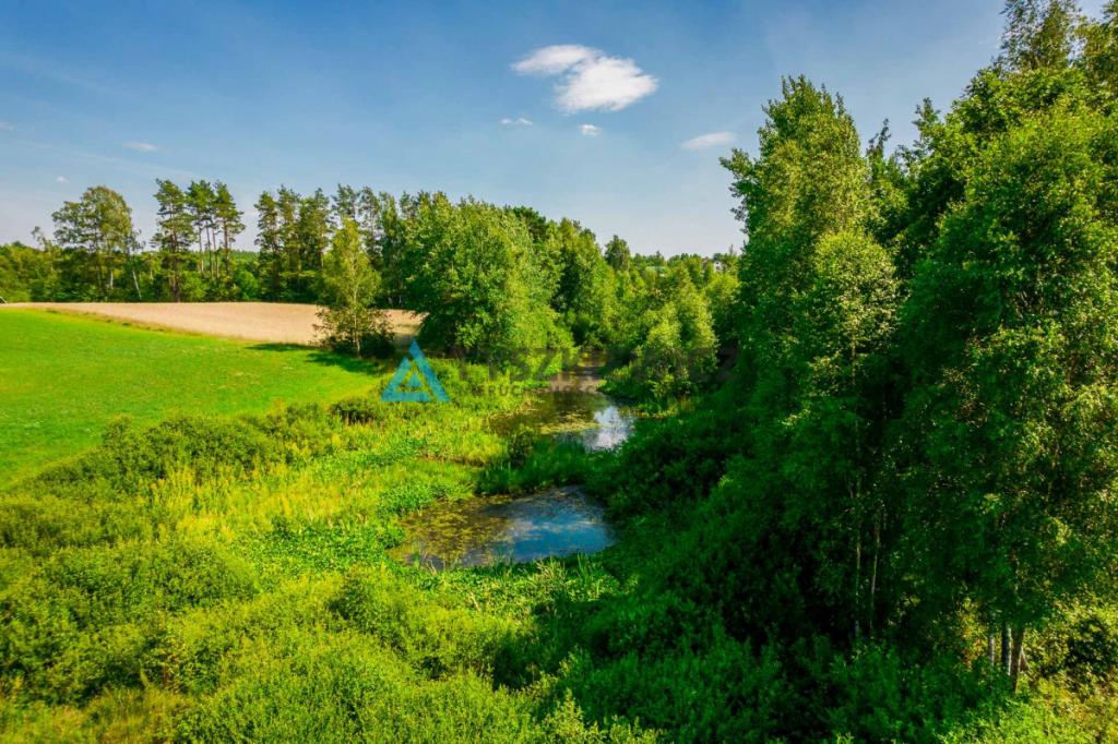Malownicza zalesiona działka ze stawem w Gołczewie - zdjęcie 12