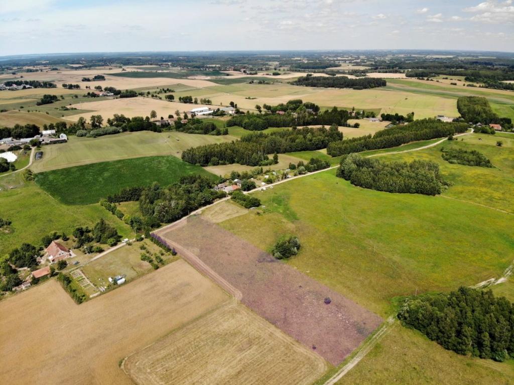 Działka budowlana 1575&nbsp;m², Pieczonki - zdjęcie 6