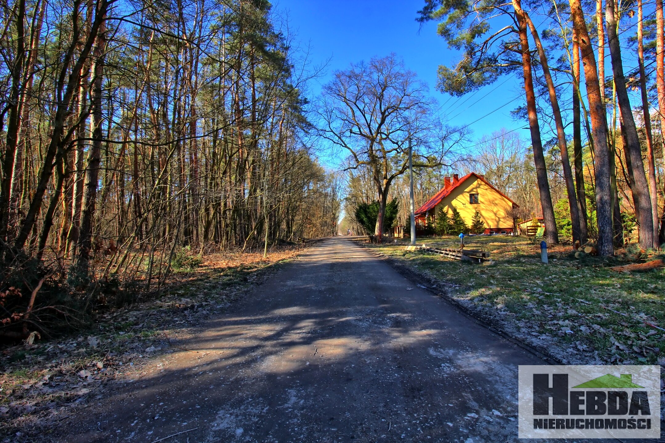 Na sprzedaż działka budowlano - leśna, 75 arów, Wierzchosławice rejon Dwudniaki - zdjęcie 8