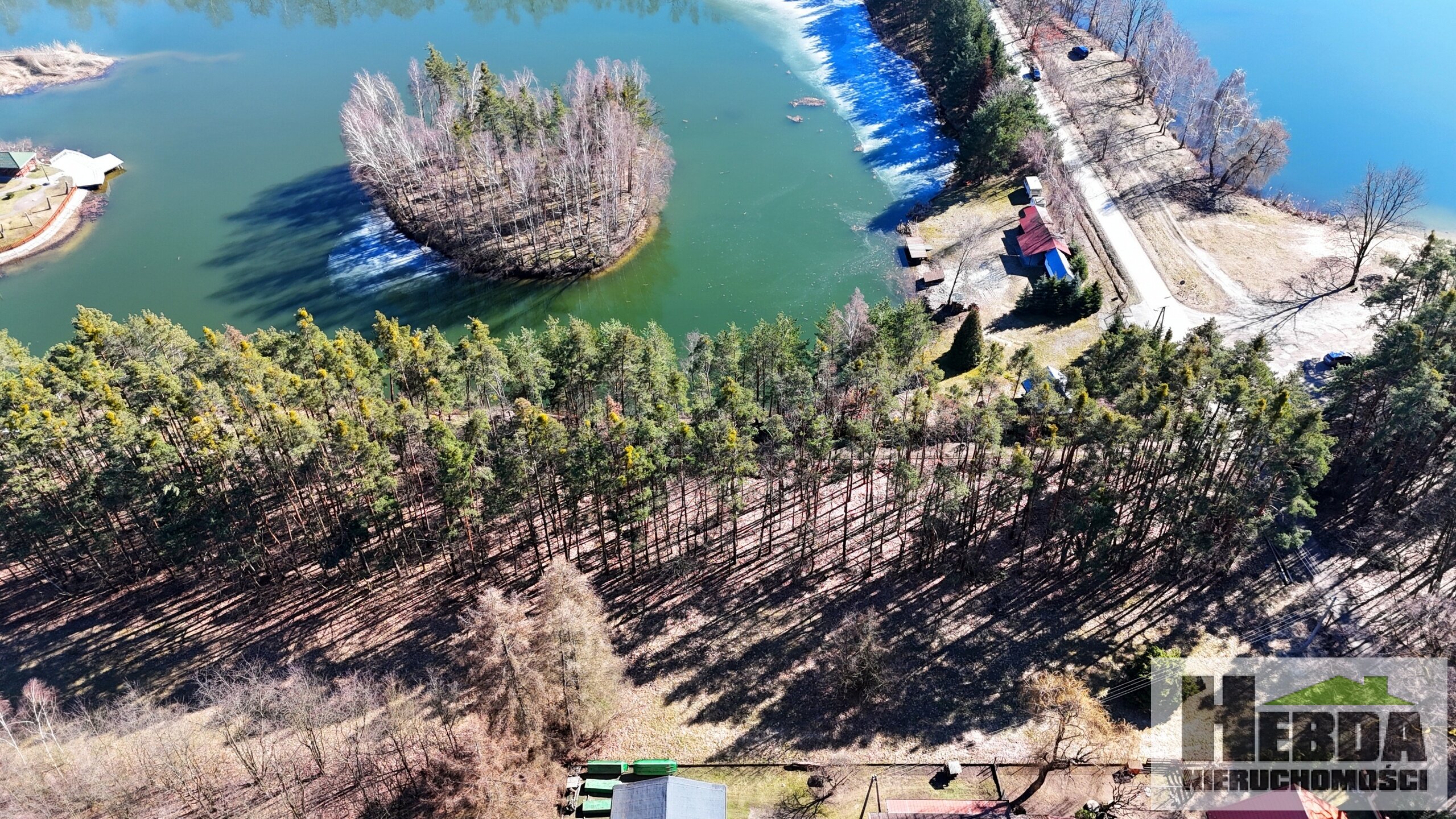 Na sprzedaż działka budowlano - leśna, 75 arów, Wierzchosławice rejon Dwudniaki - zdjęcie 5