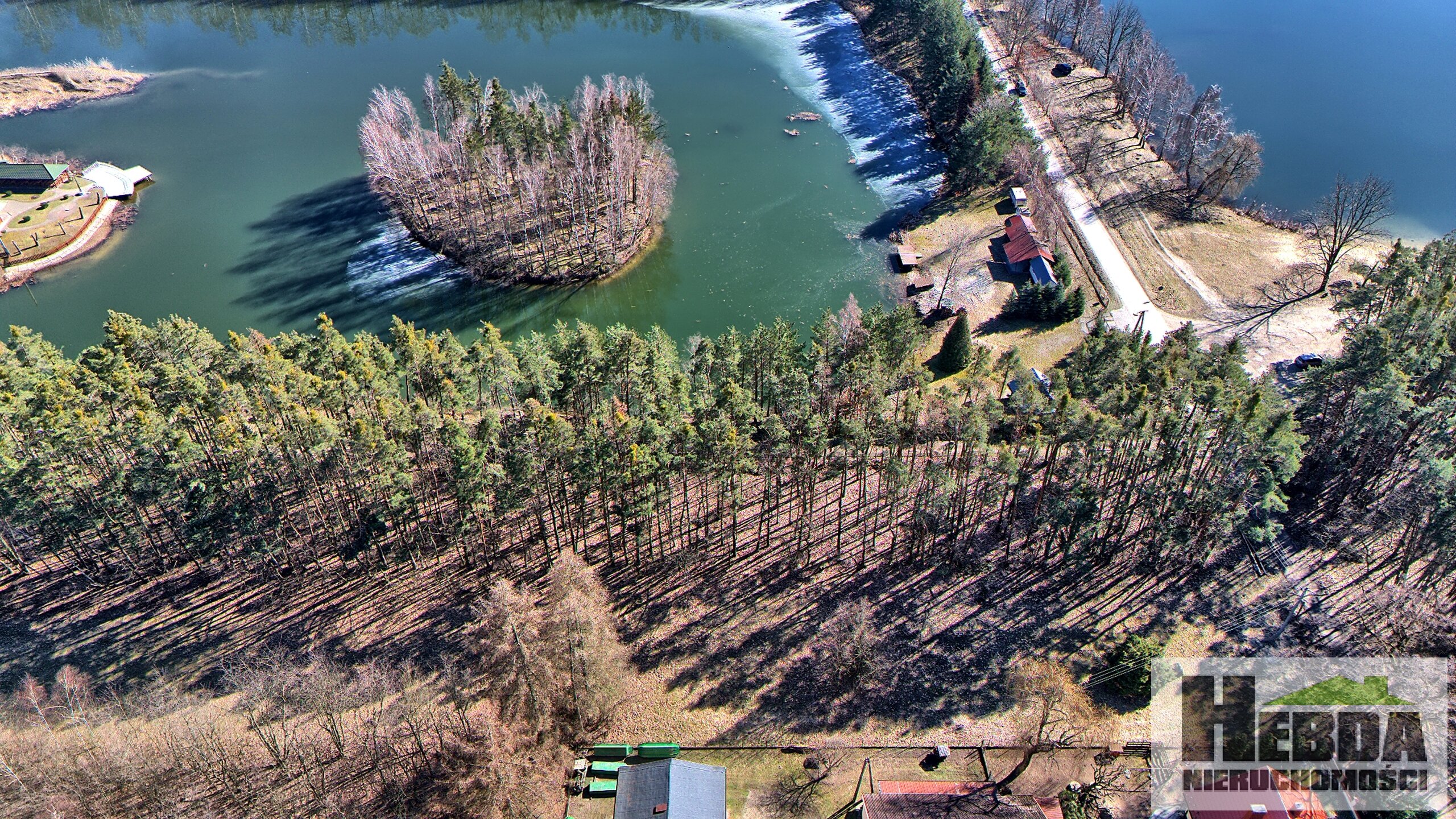 Na sprzedaż działka budowlano - leśna, 75 arów, Wierzchosławice rejon Dwudniaki - zdjęcie 3