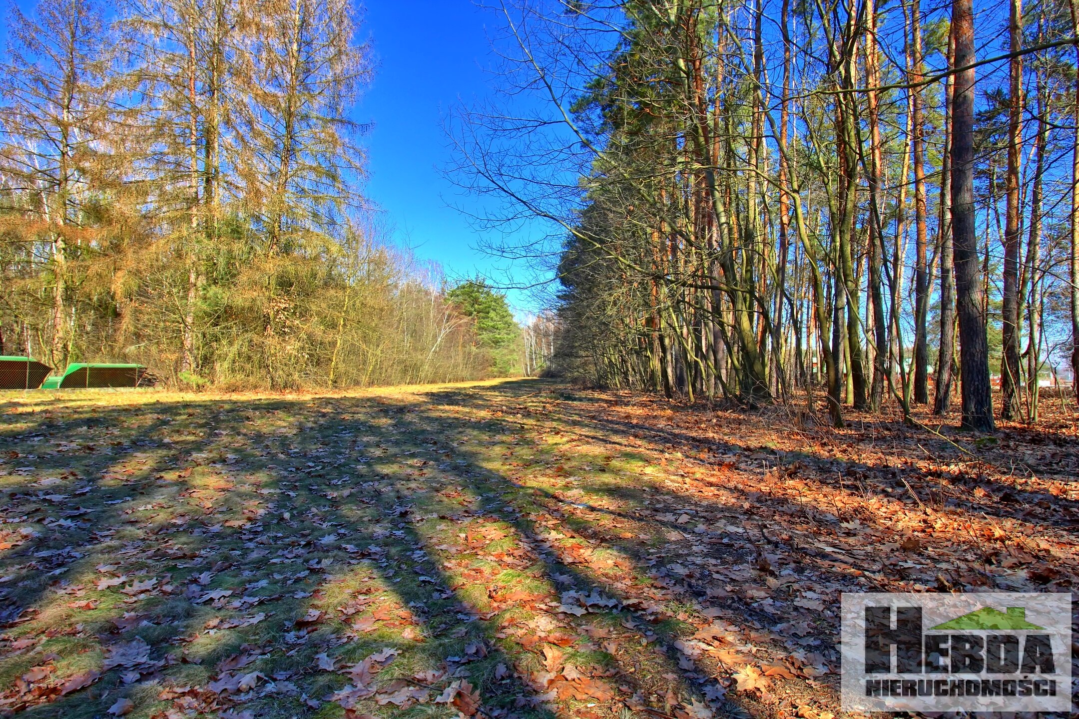 Na sprzedaż działka budowlano - leśna, 75 arów, Wierzchosławice rejon Dwudniaki - zdjęcie 13
