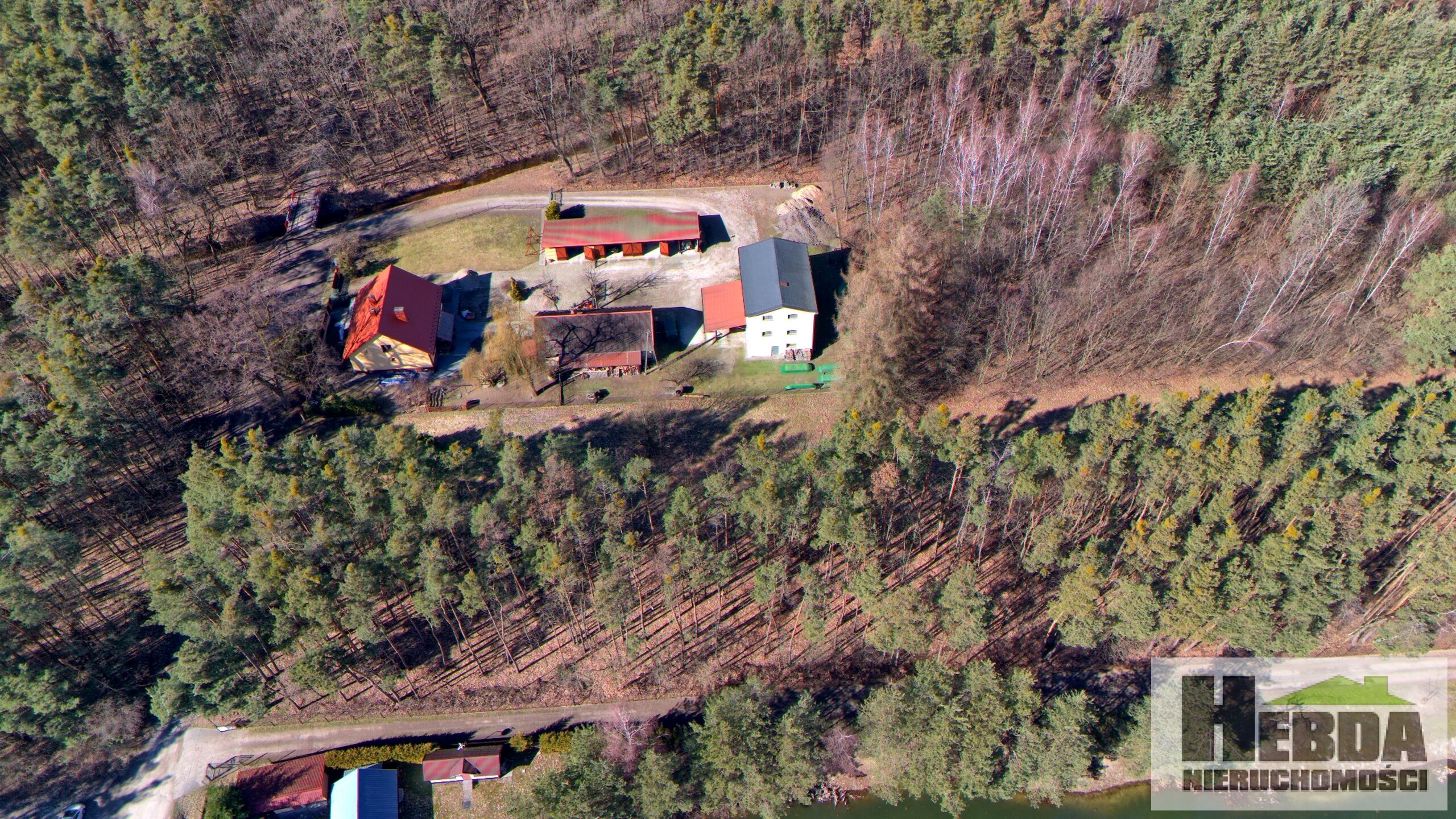 Na sprzedaż działka budowlano - leśna, 75 arów, Wierzchosławice rejon Dwudniaki - zdjęcie 4