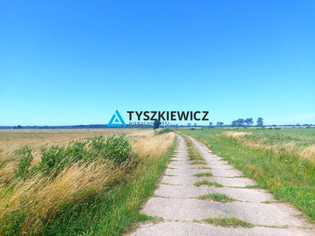 Łąki w okolicy Dębek - zdjęcie 1