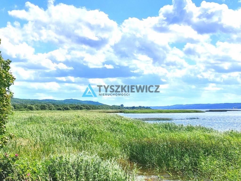 Łąki w okolicy Dębek - zdjęcie 6