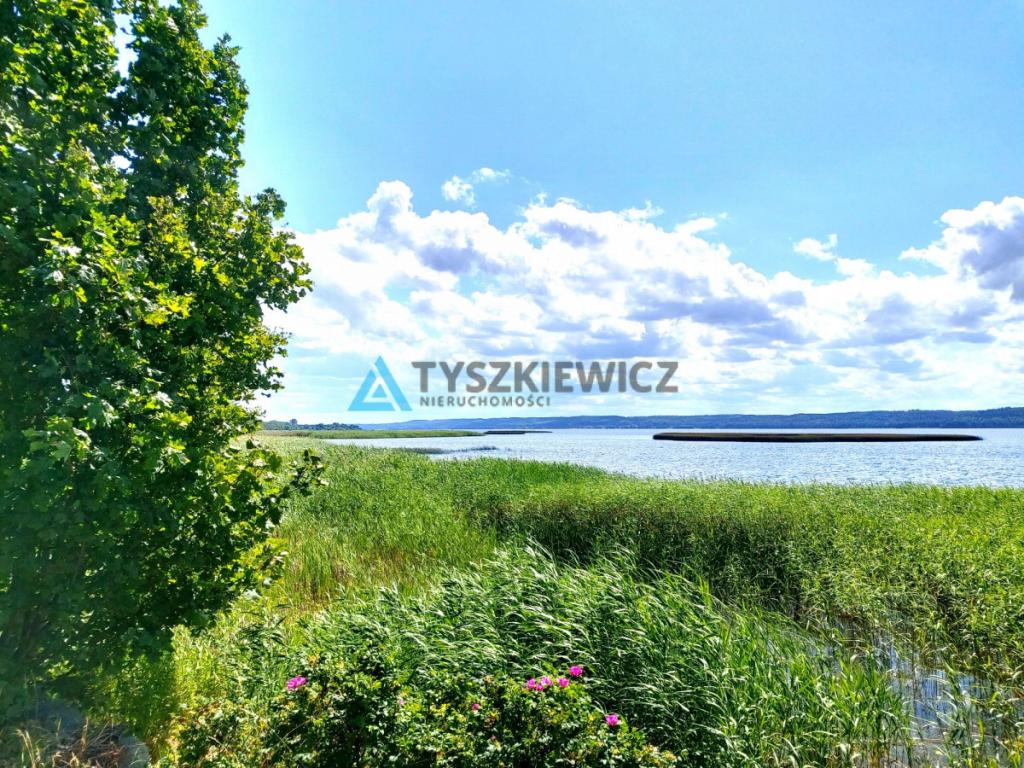Łąki w okolicy Dębek - zdjęcie 5