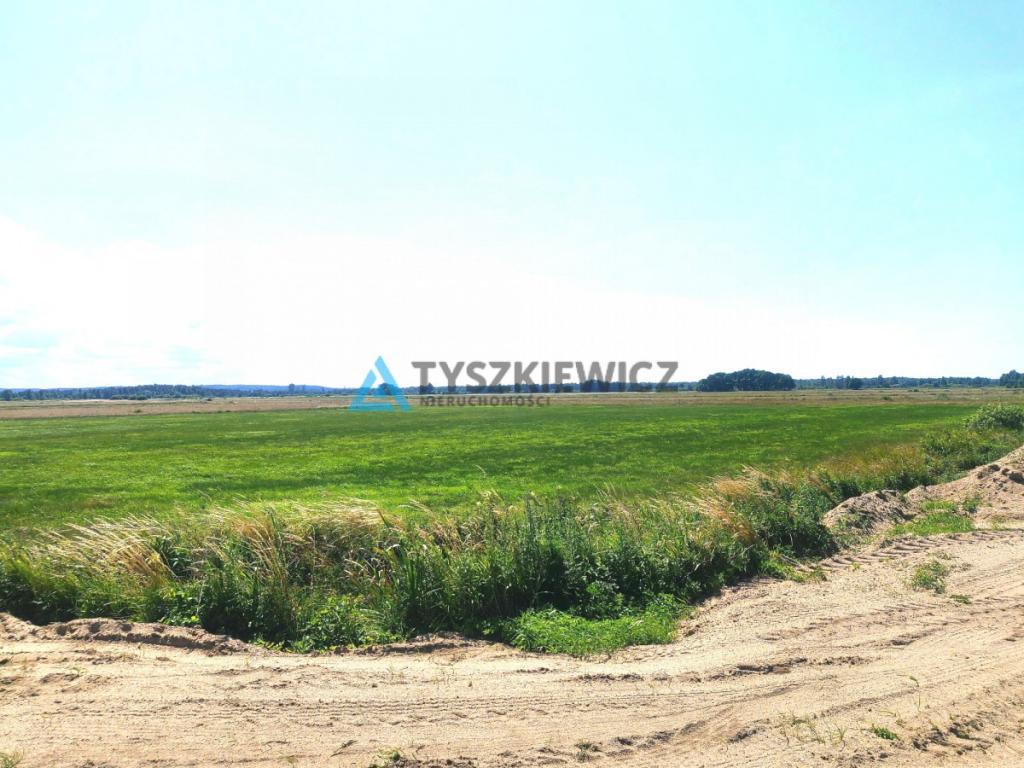 Łąki w okolicy Dębek - zdjęcie 3