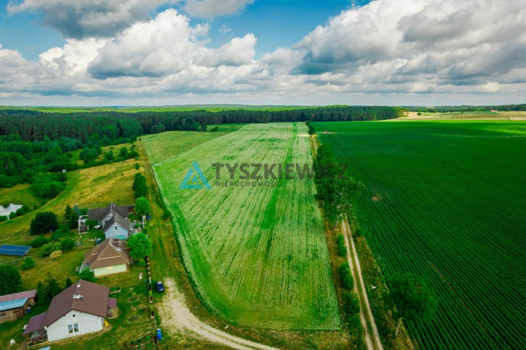 Działka rolna nad J. Trzebież, w Nożynie - zdjęcie 3
