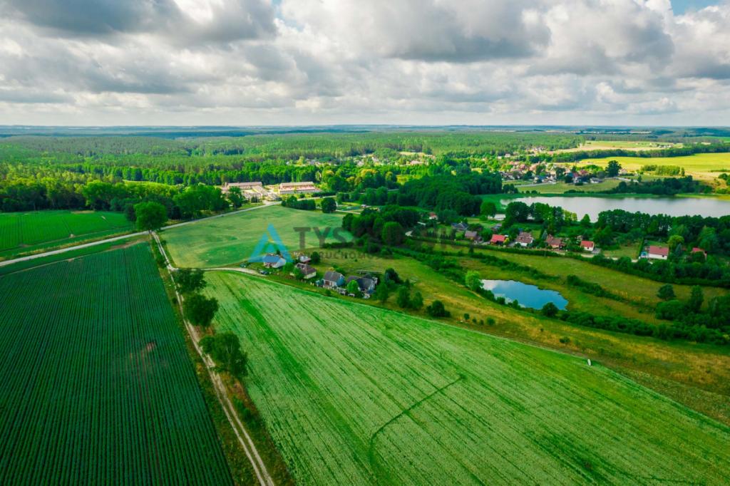 Działka rolna nad J. Trzebież, w Nożynie - zdjęcie 5