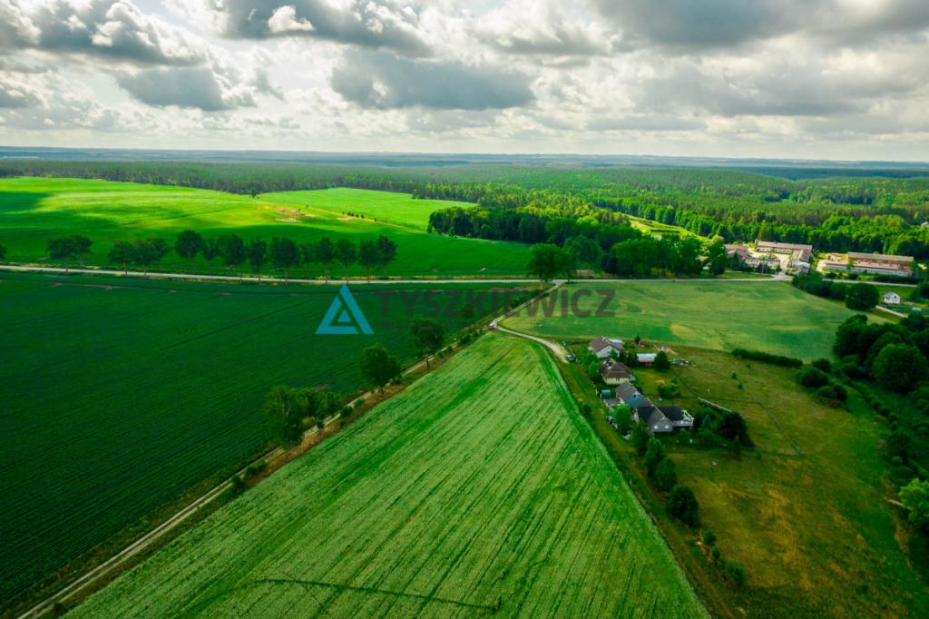 Działka rolna nad J. Trzebież, w Nożynie - zdjęcie 6
