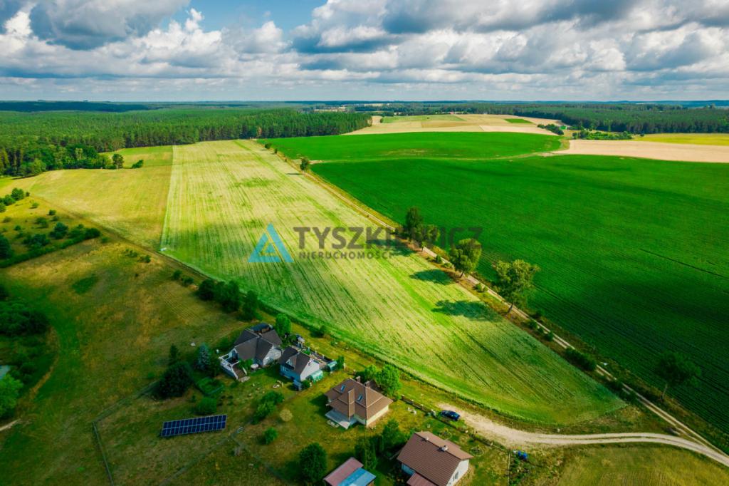 Działka rolna nad J. Trzebież, w Nożynie - zdjęcie 11