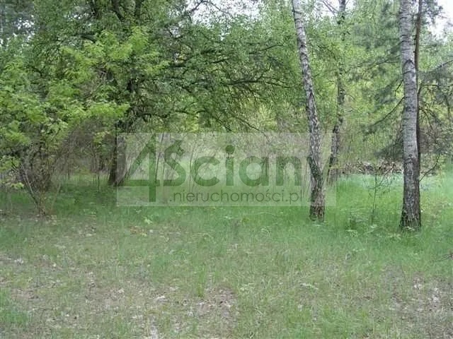 Działka budowlana 6800 m², Marynin - zdjęcie 1