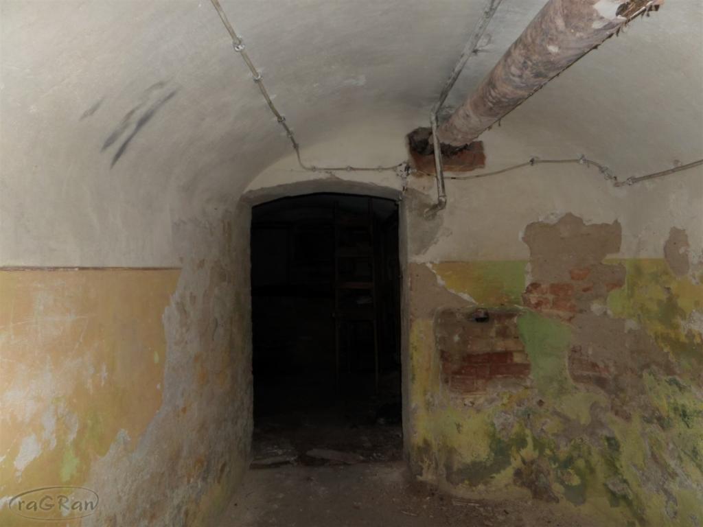 Dwór z początku XIX w. z dużym parkiem i stawem - zdjęcie 9