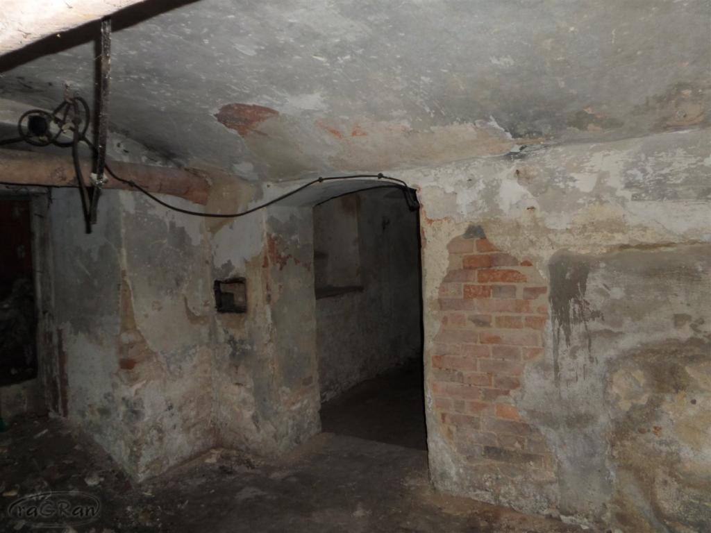 Dwór z początku XIX w. z dużym parkiem i stawem - zdjęcie 8