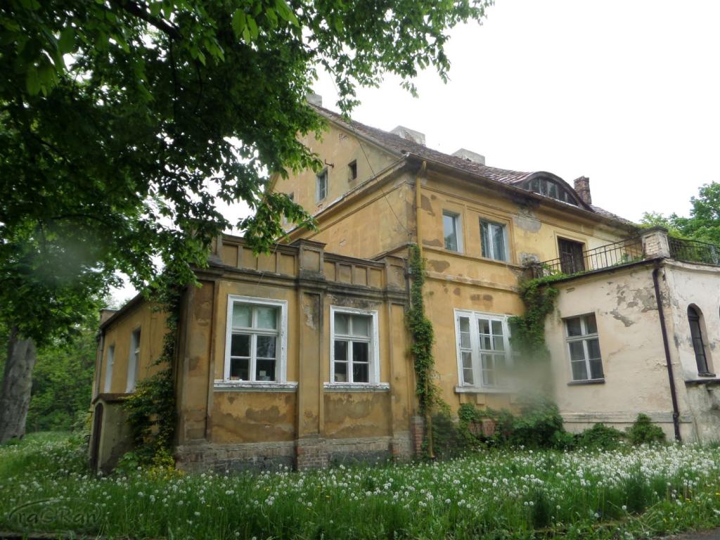 Dwór z początku XIX w. z dużym parkiem i stawem - zdjęcie 3
