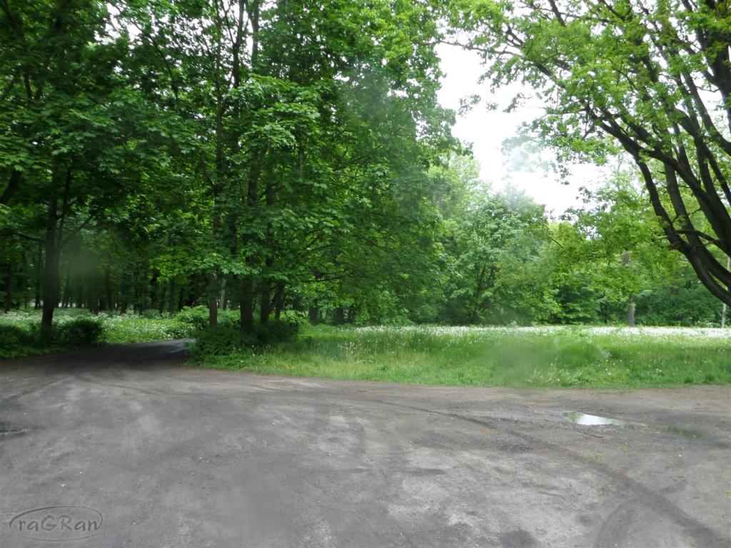 Dwór z początku XIX w. z dużym parkiem i stawem - zdjęcie 11