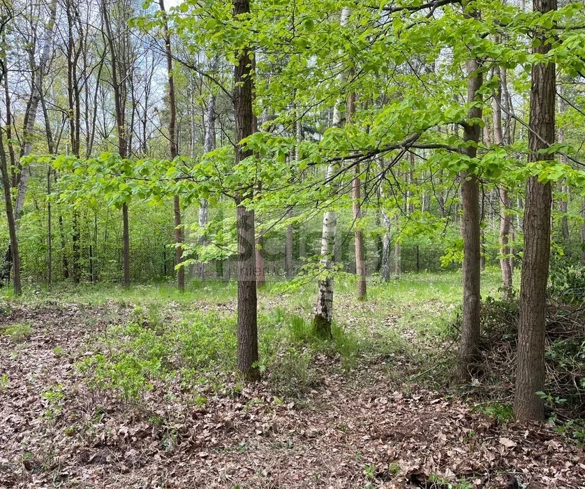 Działka budowlana 2761 m², Podkowa Leśna - zdjęcie 2