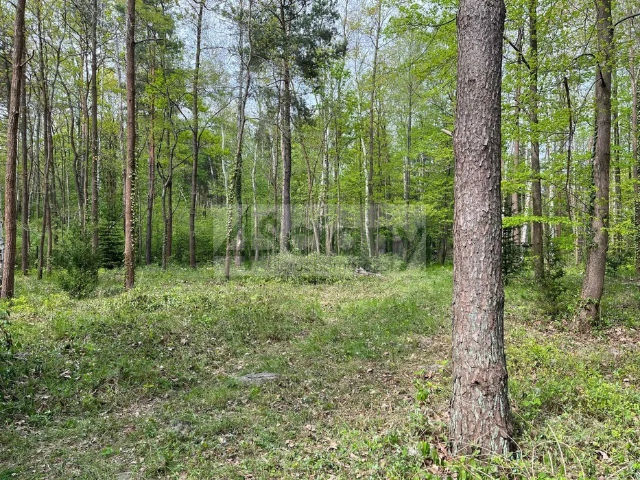 Działka budowlana 2761 m², Podkowa Leśna - zdjęcie 1