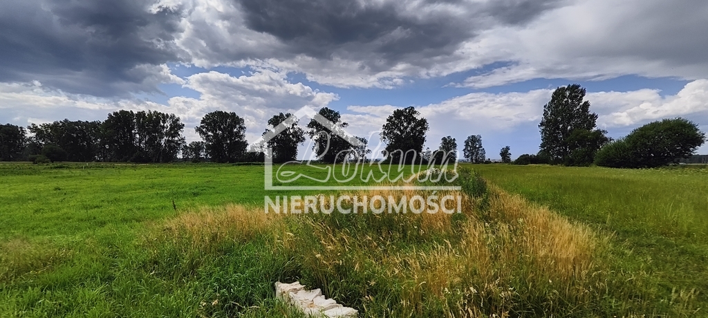 Działka rolna 1472 m², Rurzyca - zdjęcie 1