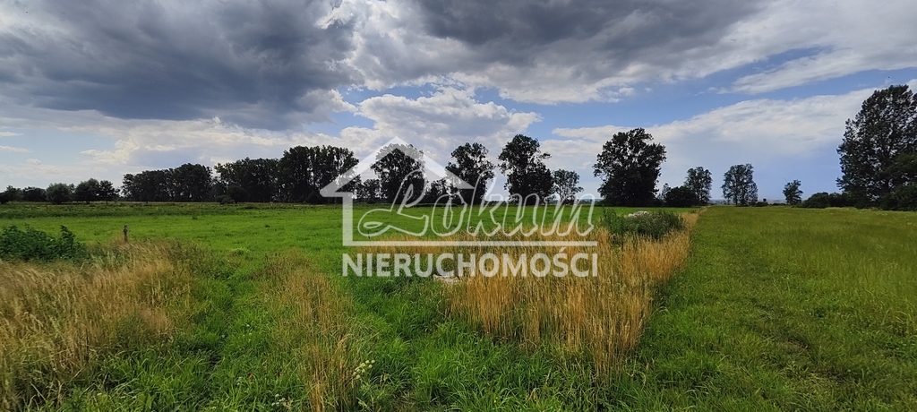 Działka rolna 1472 m², Rurzyca - zdjęcie 2