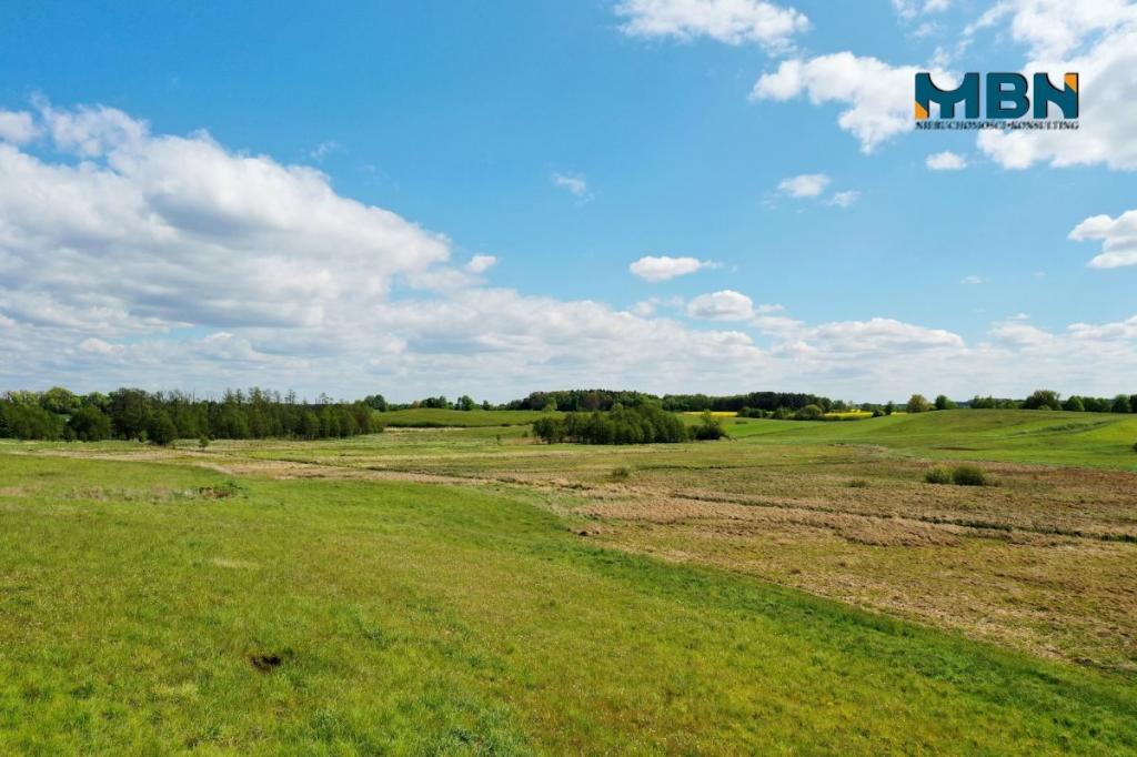 Działka rolna 7,13&nbsp;ha, Giżycko - zdjęcie 14