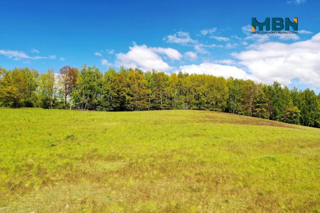 Działka rolna 7,13&nbsp;ha, Giżycko - zdjęcie 13