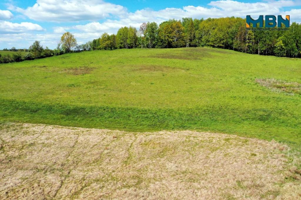 Działka rolna 7,13&nbsp;ha, Giżycko - zdjęcie 11