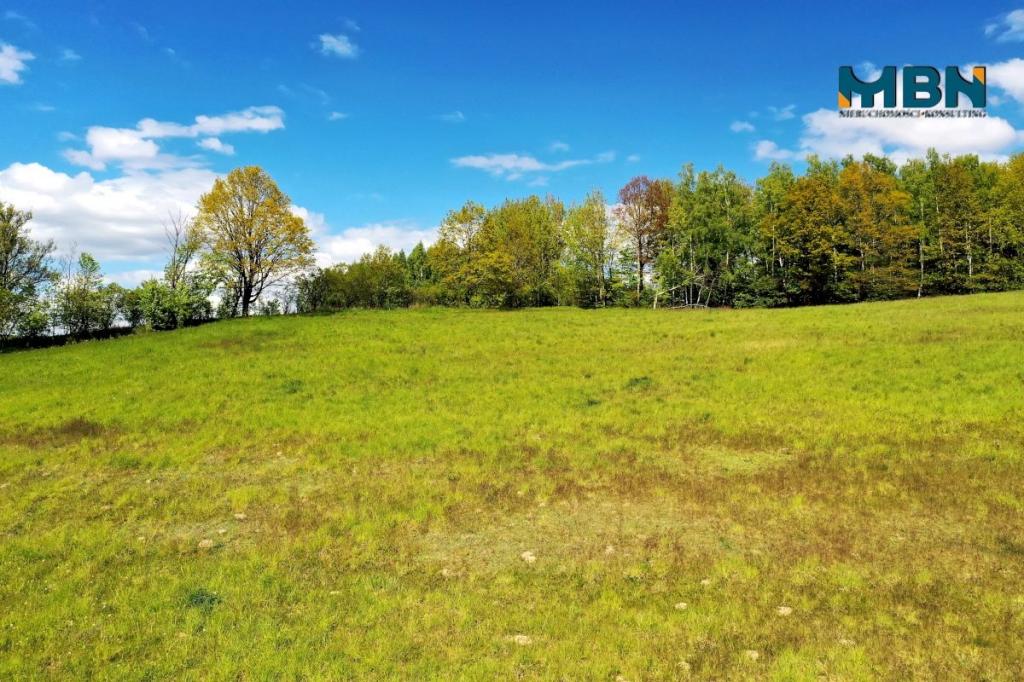 Działka rolna 7,13&nbsp;ha, Giżycko - zdjęcie 12