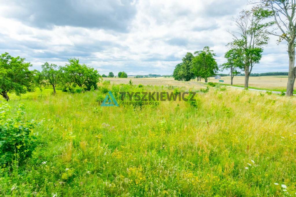 Atrakcyjna działka Stare Polaszki - zdjęcie 3