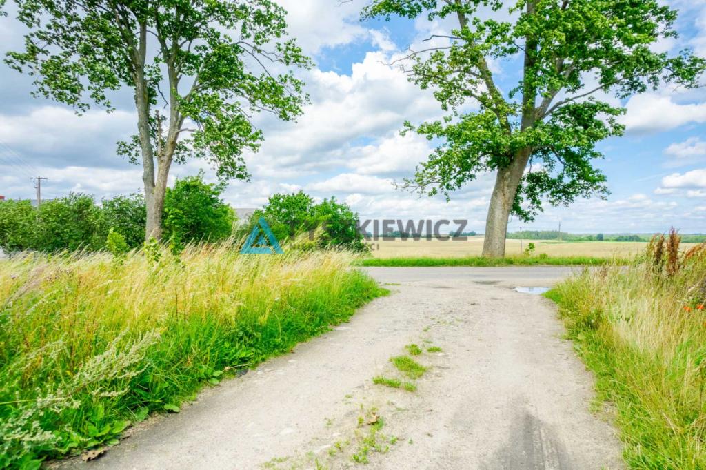 Atrakcyjna działka Stare Polaszki - zdjęcie 15