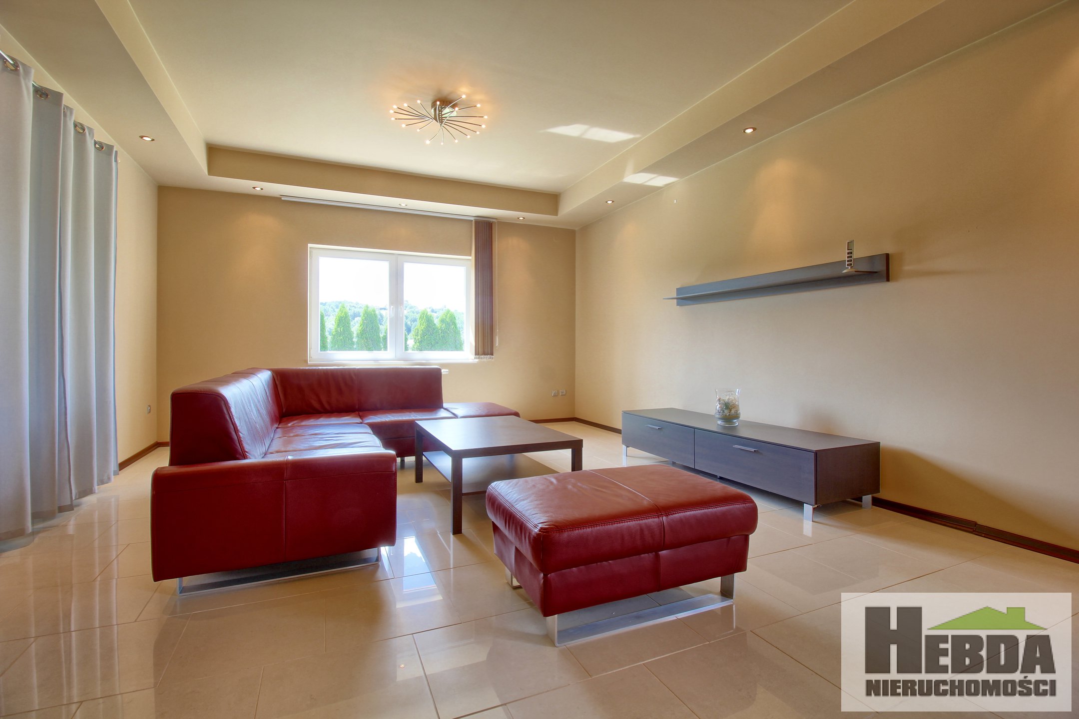 OFERTA BEZ PROWIZJI OD KUPUJĄCEGO !!! Na sprzedaż dom jednorodzinny na 20 arowej działce, szczepanowice - zdjęcie 3