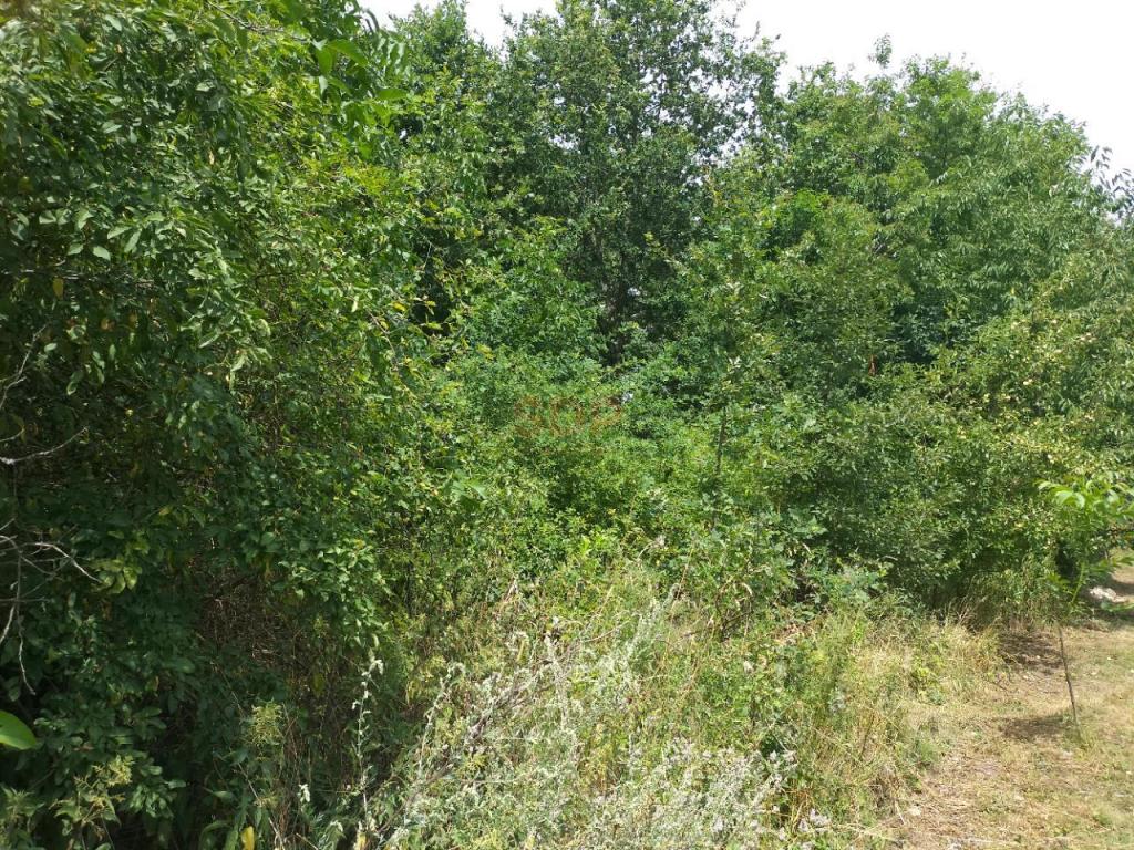 Działka budowlana 1,47 ha, Rościsławice - zdjęcie 8