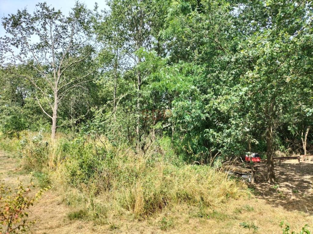 Działka budowlana 1,47 ha, Rościsławice - zdjęcie 3