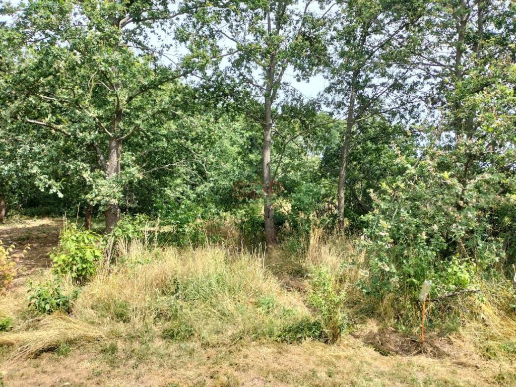 Działka budowlana 1,47 ha, Rościsławice - zdjęcie 7