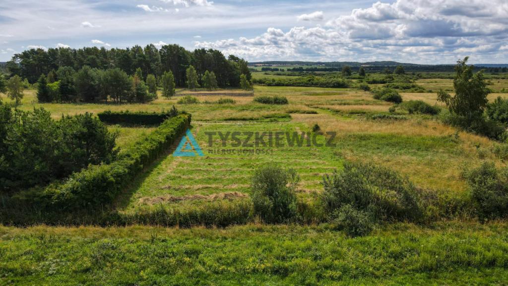 Działka koło Dębek, w otoczeniu: domki letniskowe - zdjęcie 27