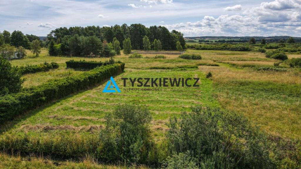 Działka koło Dębek, w otoczeniu: domki letniskowe - zdjęcie 1