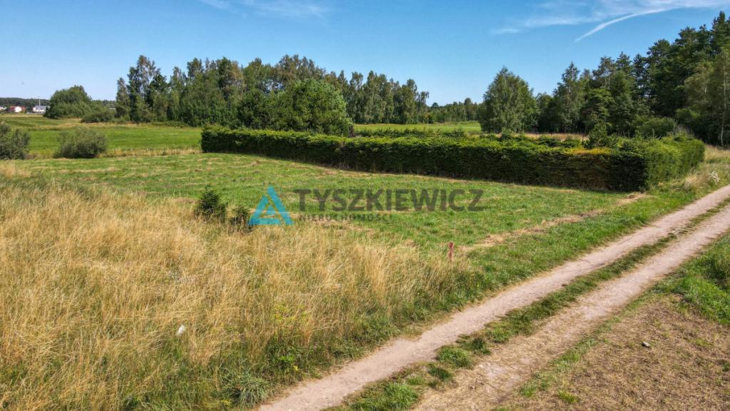 Działka koło Dębek, w otoczeniu: domki letniskowe - zdjęcie 28