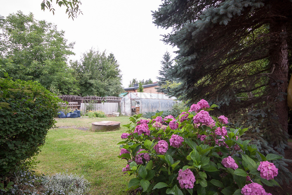 Legionowo - Ludwisin - zdjęcie 9