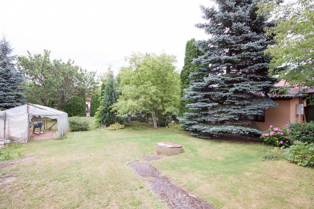 Legionowo - Ludwisin - zdjęcie 6