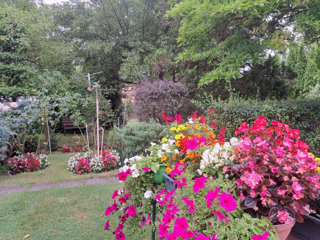 Legionowo - Ludwisin - zdjęcie 2