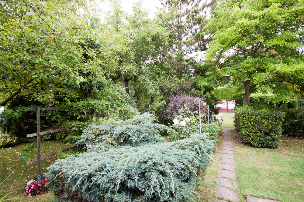 Legionowo - Ludwisin - zdjęcie 10