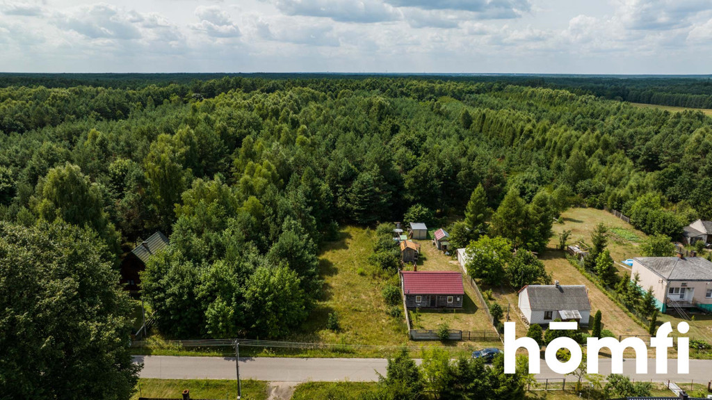 Działka rolna 5400&nbsp;m², Brzustów - zdjęcie 3