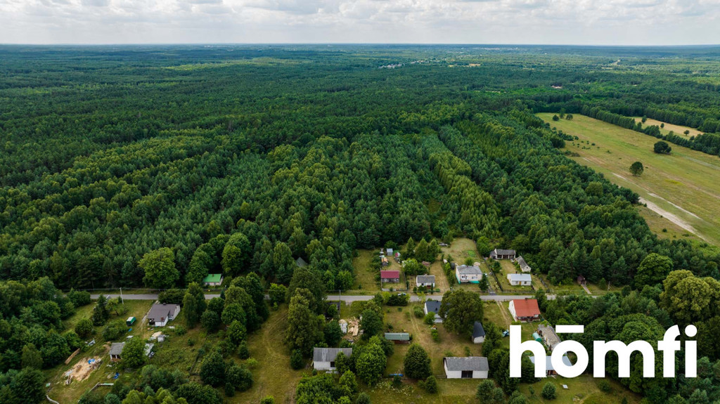 Działka rolna 5400&nbsp;m², Brzustów - zdjęcie 4